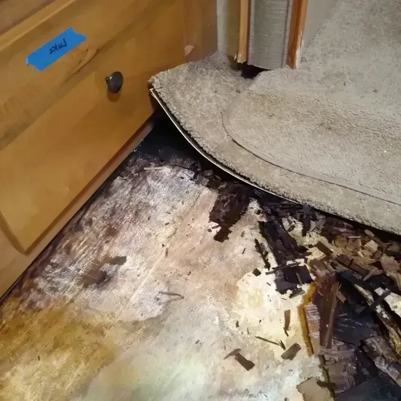 Best Wood Floor Water Damage Service in Golf Manor, OH